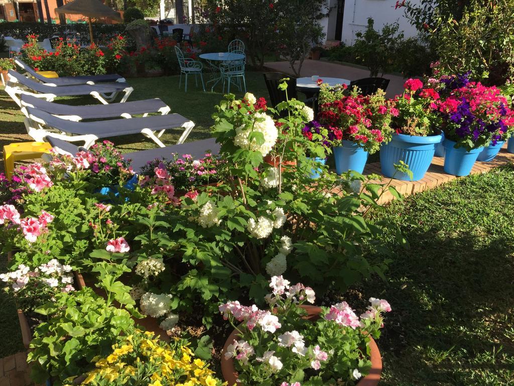 Hotel Carmen Teresa Torremolinos Kültér fotó