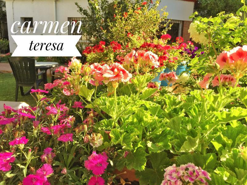 Hotel Carmen Teresa Torremolinos Kültér fotó