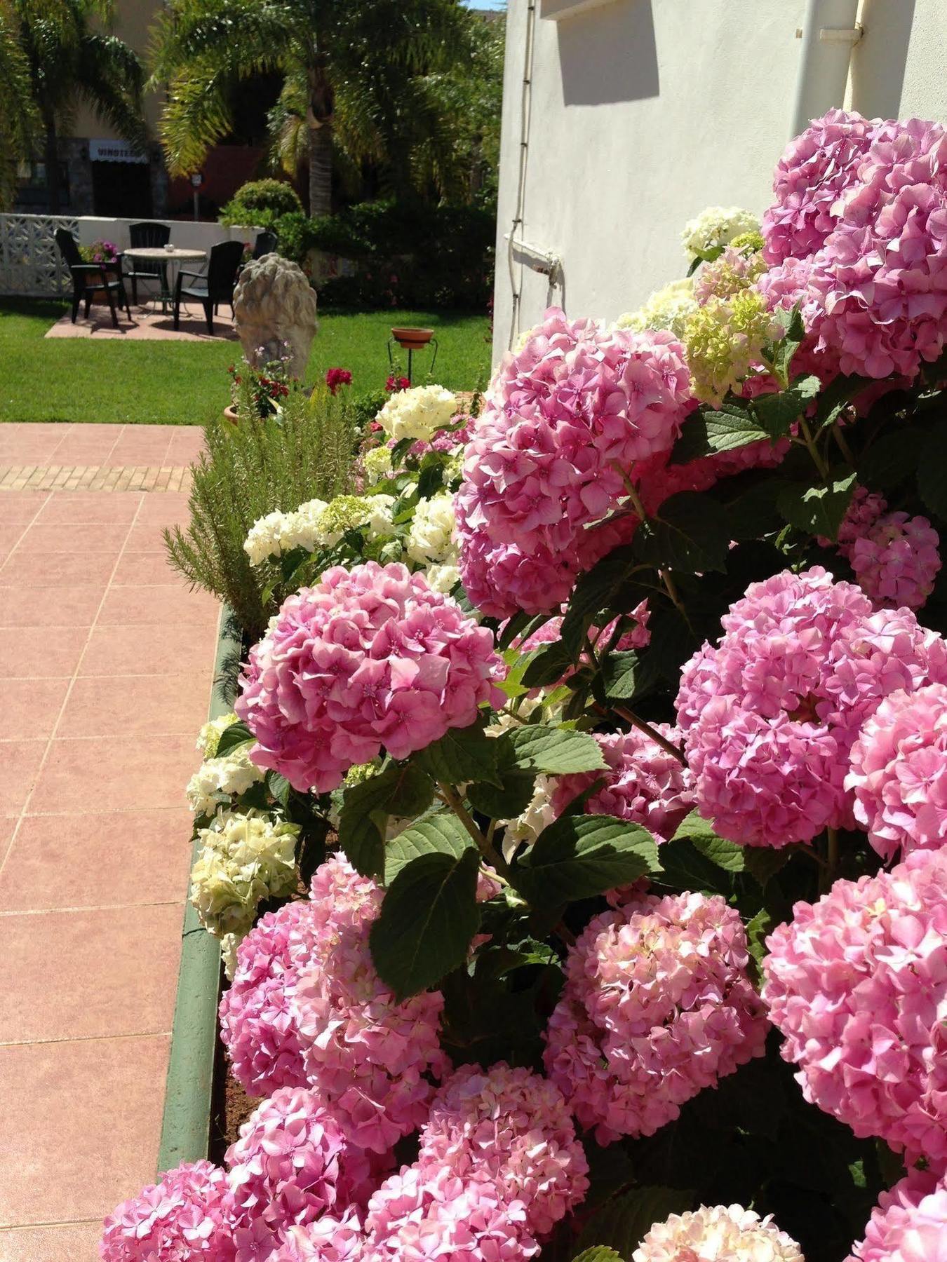 Hotel Carmen Teresa Torremolinos Kültér fotó